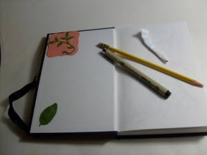 my zentangle notebook kit